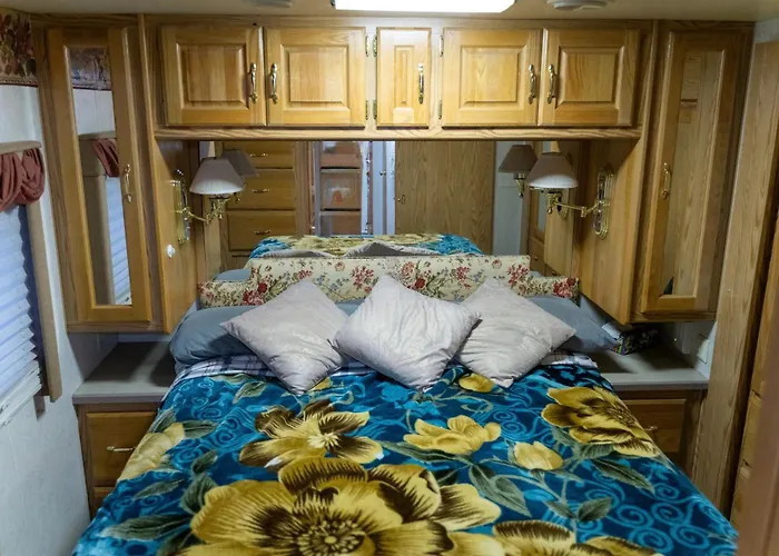 Art Rv Motorhome