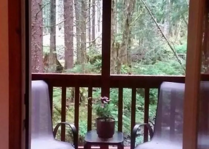 Charming A-Frame Cabin Rental On Prince Of Wales Island In Hollis, Alaska