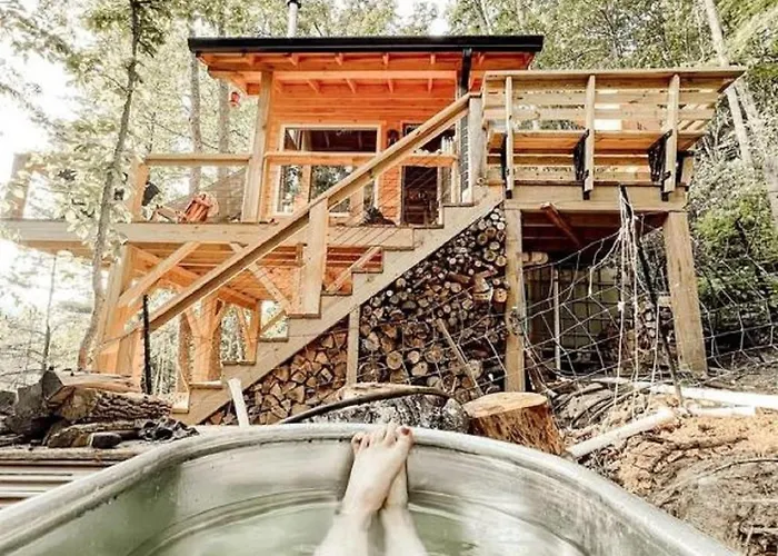 Stunning Pet-Friendly Treehouse For Relaxing Glamping Retreats In North Carolina