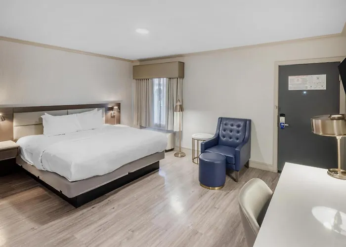 Best Western Plus Executive Suites