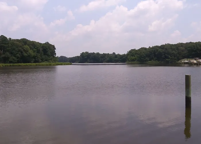 Marvels On The Creek