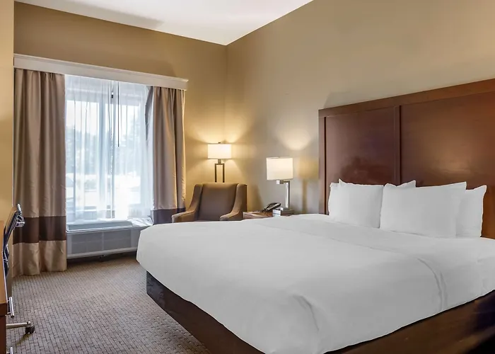 Comfort Inn & Suites At Crossplex Village