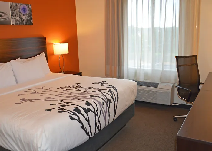 Sleep Inn & Suites Oregon - Madison