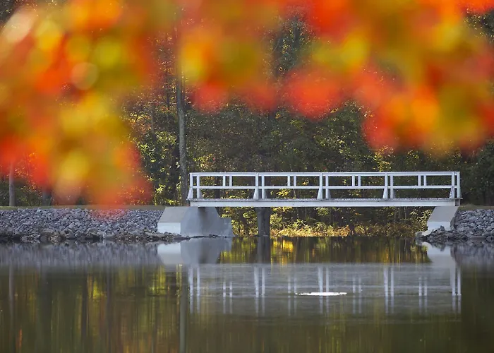 Mountain Springs Lake Resort