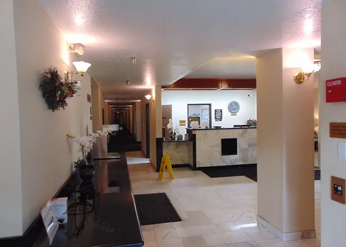 Bellis Inn