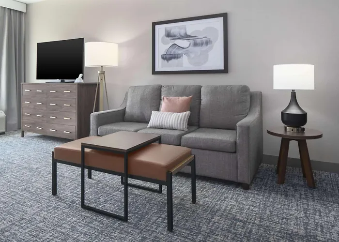 Homewood Suites By Hilton Dfw Airport South, Tx