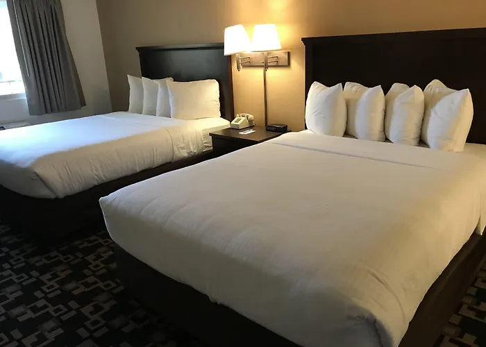 Morningglory Inn & Suites