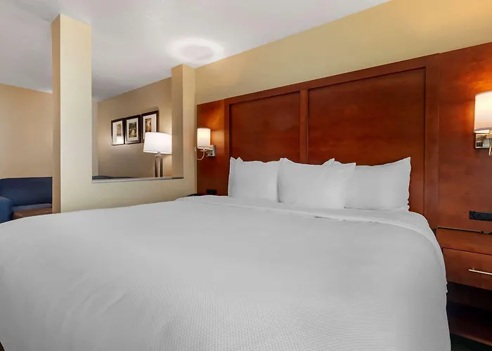 Comfort Inn & Suites Euless Dfw West
