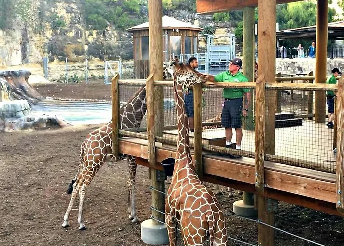 Econo Inn Lackland Afb-Seaworld San Antonio