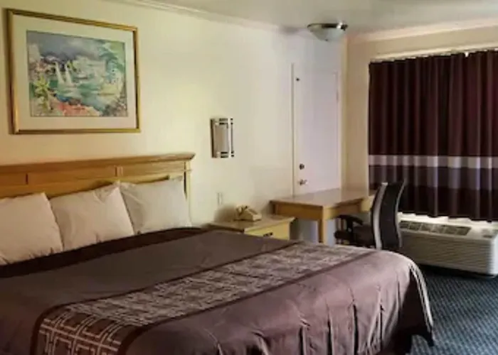 Budget Lodge