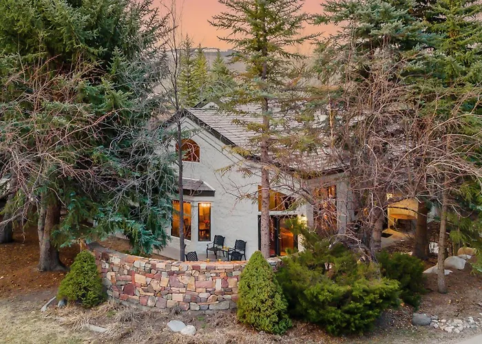 Chalet Aster