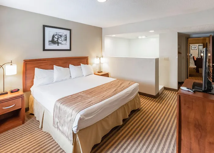 Eleven Boutique Hotel Llc