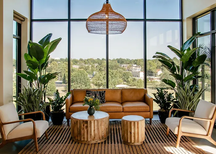 Brut Hotel