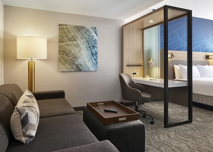 Springhill Suites By Marriott Frederica