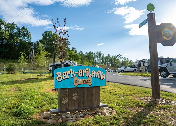 The Lodge At Camp Margaritaville