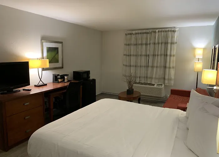 The Hotel Orange
