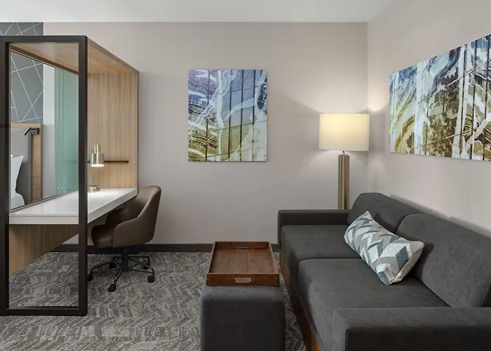 Springhill Suites By Marriott Kalamazoo Portage