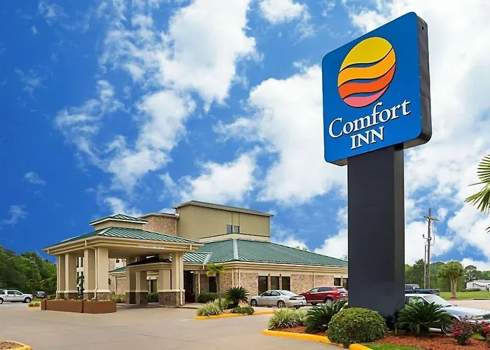 Super 8 By Wyndham Alexandria La