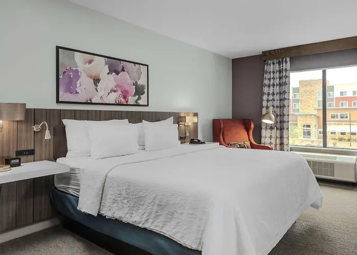 Hilton Garden Inn Detroit Utica, Mi