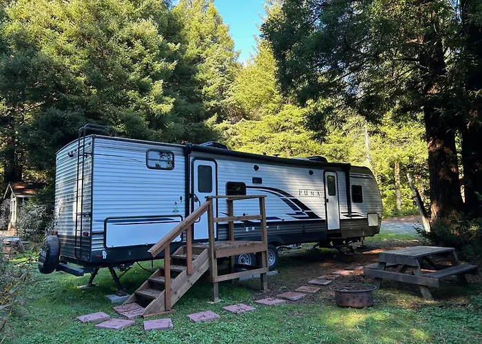 Puma The Rv