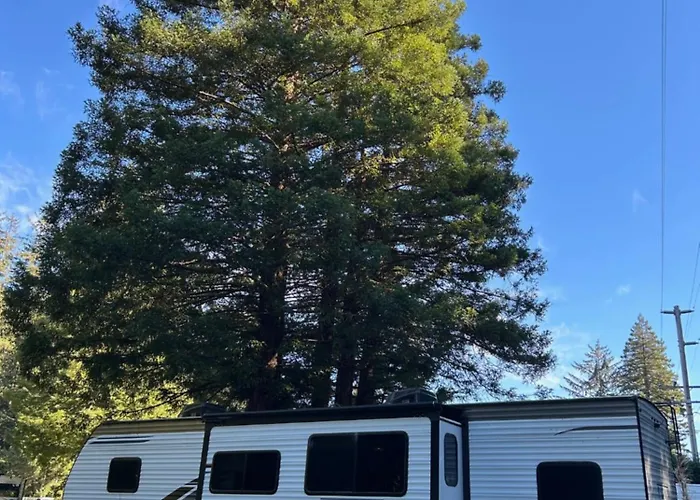 Puma The Rv