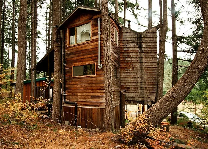 Tree House Style Cabin Nestled At The Foot Of Scenic Snow-Capped Mt. Adams, Washington