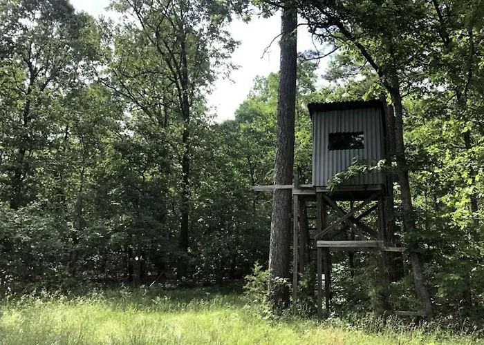 Cozy Cabin Rental Near Ozark National Forest For A Relaxing Weekend Getaway In Arkansas