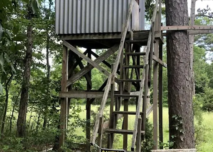Cozy Cabin Rental Near Ozark National Forest For A Relaxing Weekend Getaway In Arkansas