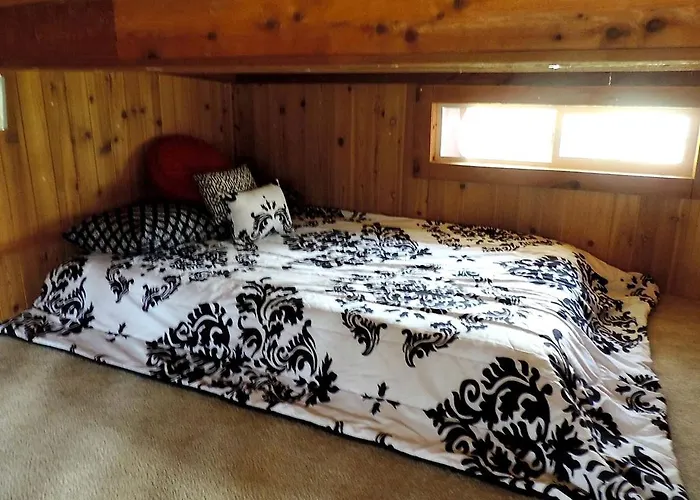 Peaceful Pet-Friendly Cabin Rental In San Antonio Countryside, Texas