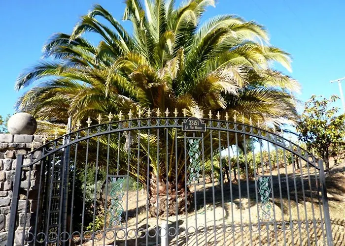 Vacation Rental With Spa And Pool On Winery Near Healdsburg, California