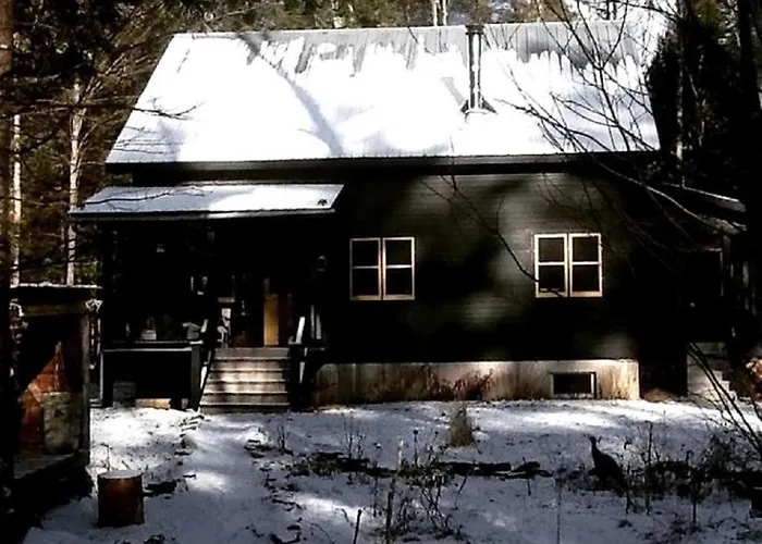 Charming Cottage Rental With Antique Decor In Narrowsburg, New York