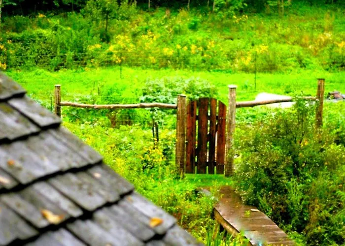 Rustic Norwegian-Style Log Cabin Rental Near The Upper Iowa River In Decorah, Iowa