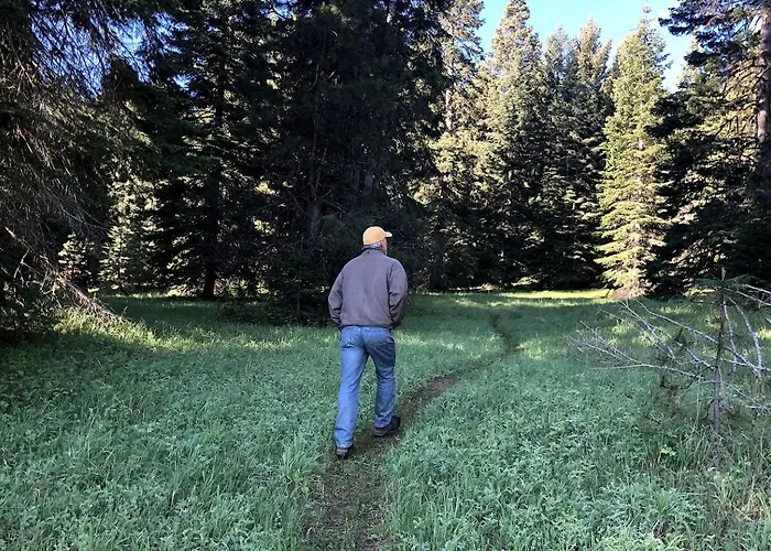 Owl Creek Cabin Mountain Getaway Near Ashland, Oregon