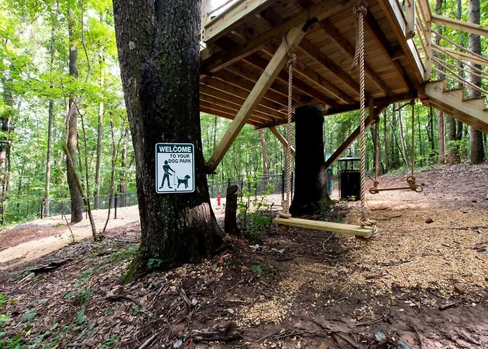 Pet-Friendly Tree House Great For A Relaxing Escape In Alabama