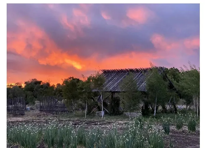 Studio Cabin Suite On Organic Farm Stay Near Taos, New Mexico