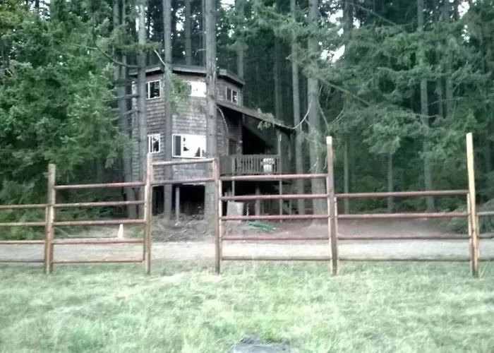 Tree House Style Cabin Nestled At The Foot Of Scenic Snow-Capped Mt. Adams, Washington