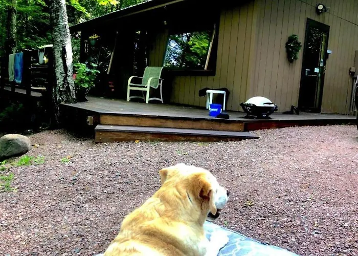 Hauser'S Bayfield Cabin