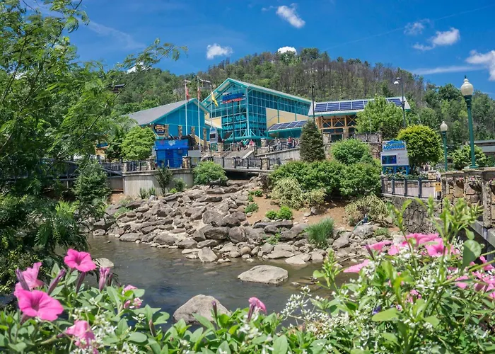Wildwood Refuge By American Patriot Getaways