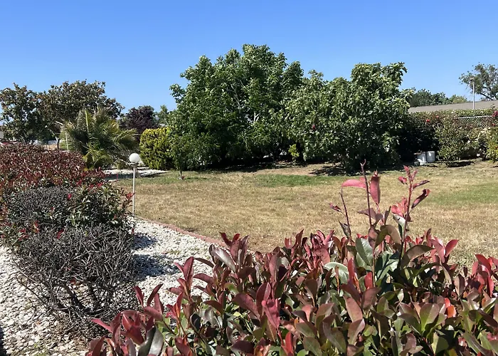 Travel Inn Gilroy