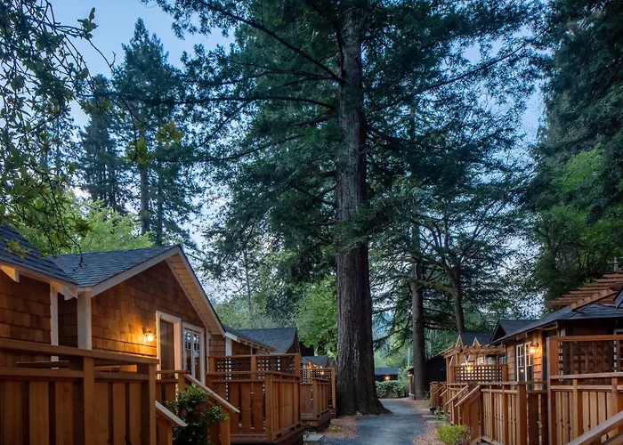 Dawn Ranch