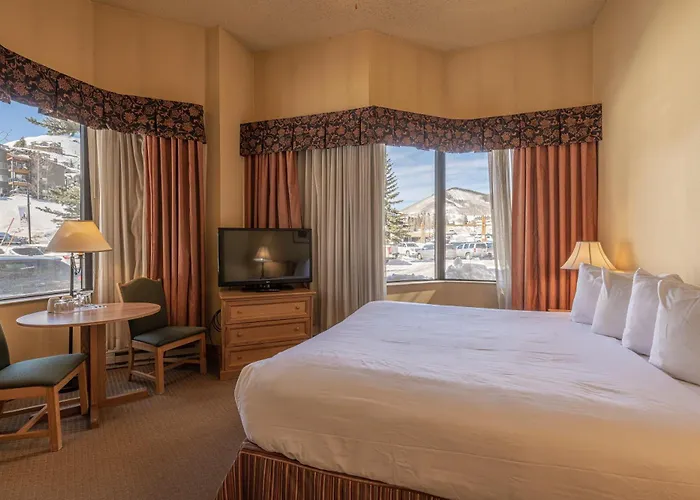 Cozy Pet-Friendly King Studio In Mt, Crested Butte Condo