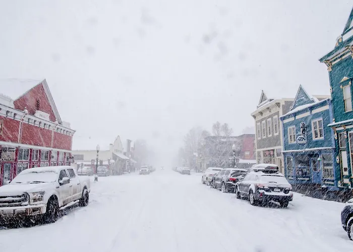 Cozy Pet-Friendly King Studio In Mt, Crested Butte Condo