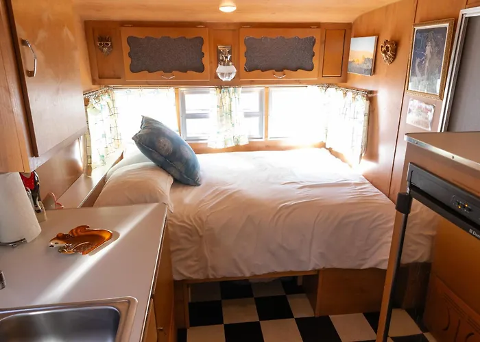 Shasta Trailer- Vintage Charm, Modern Comfort Pool