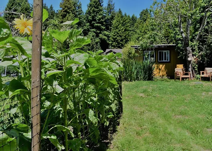 Humboldt Farm Studio