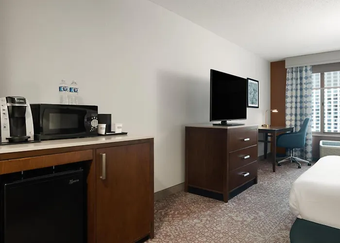 Hilton Garden Inn Chicago Downtown/Magnificent Mile