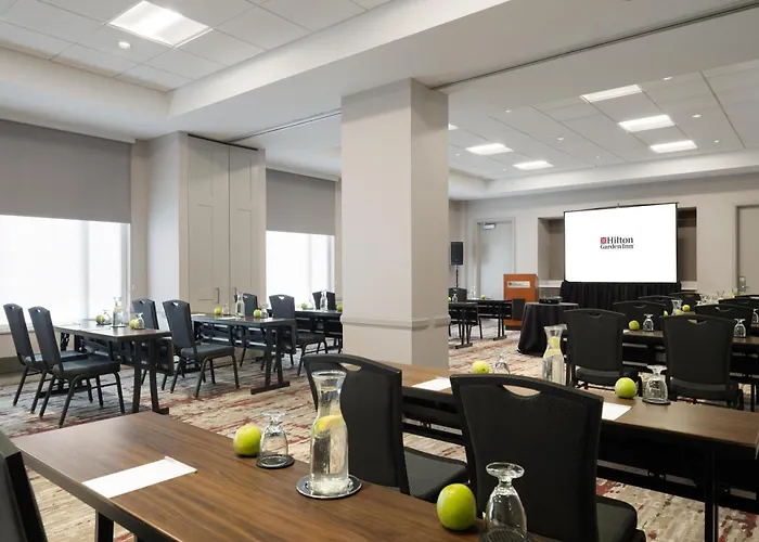 Hilton Garden Inn Chicago Downtown/Magnificent Mile