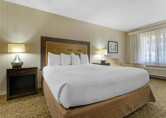 Best Western Plus Big America