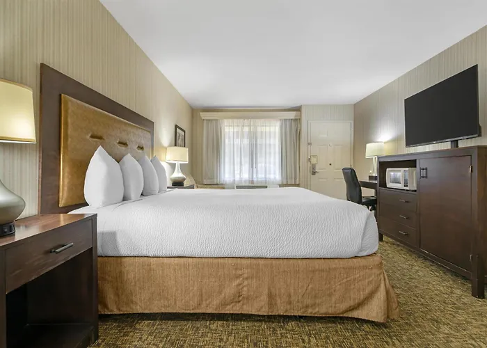 Best Western Plus Big America