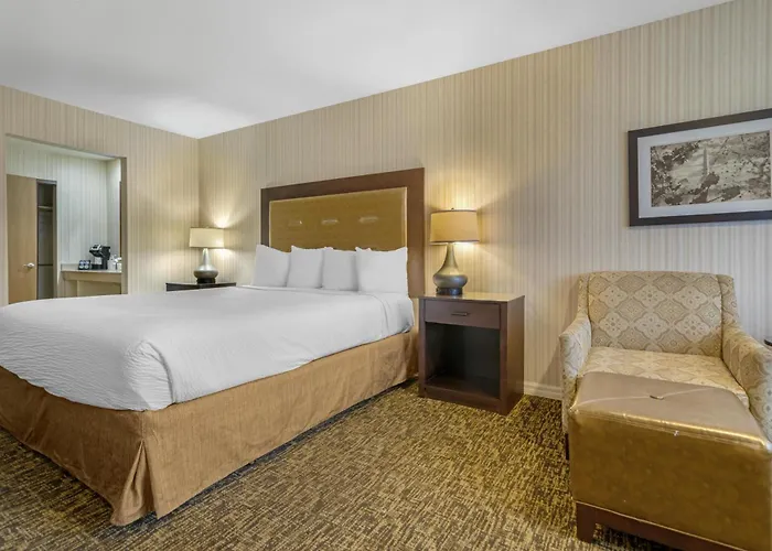 Best Western Plus Big America
