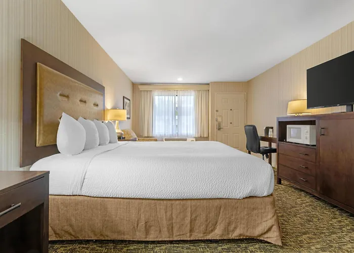 Best Western Plus Big America